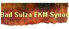 Bad Sulza EKM-Synode