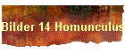 Bilder 14 Homunculus